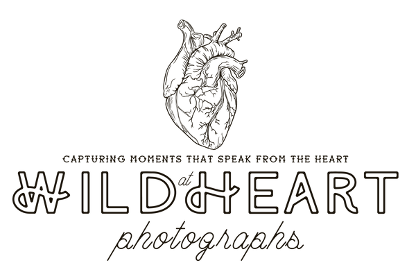 Wild at Heart Photographs